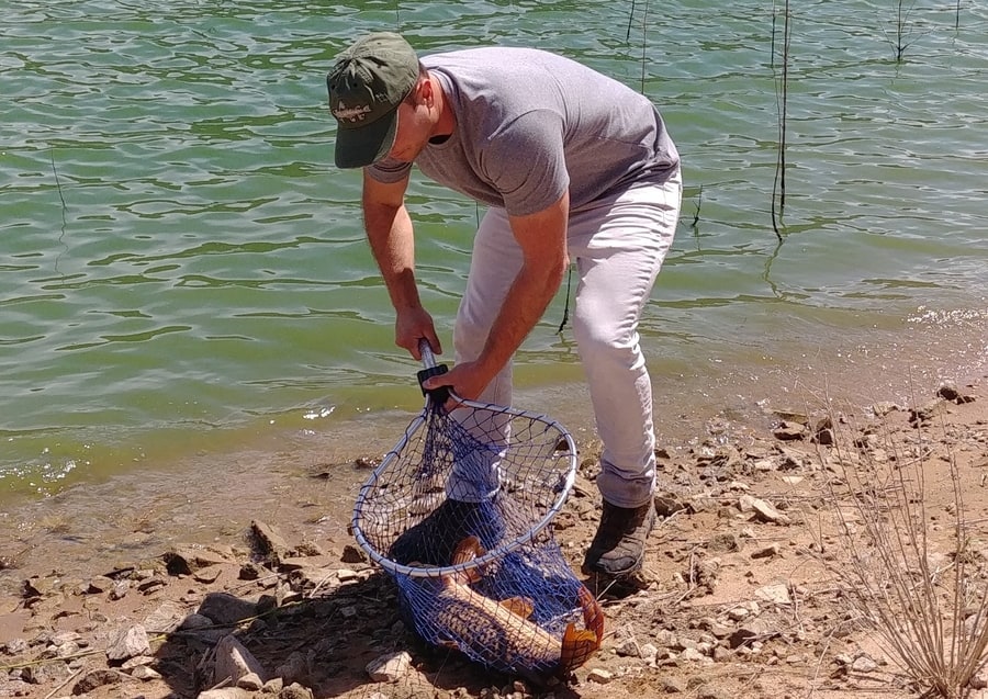 Best Time of Day to Catch Carp: A Complete Seasonal Guide 